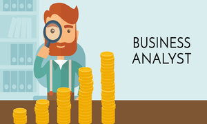 Business Analyst